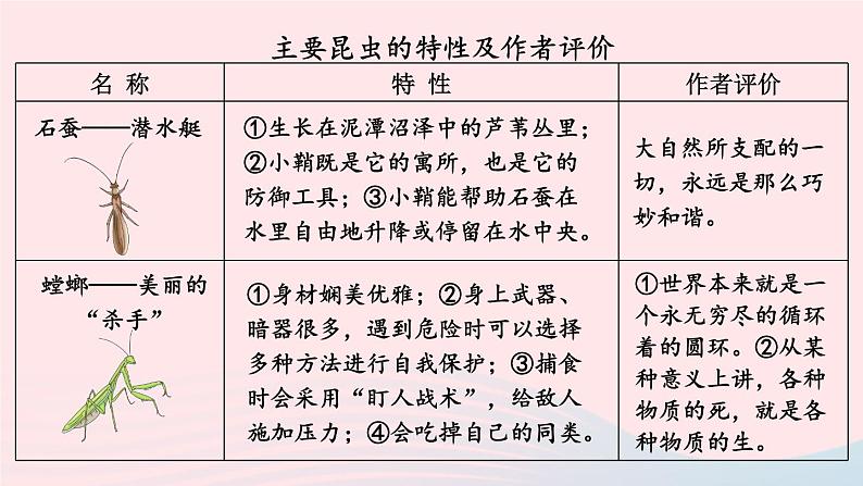 2023八年级语文上册第五单元名著导读昆虫记科普作品的阅读考点精讲课件（部编版）05
