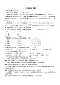 山东省聊城市东阿县2022-2023学年七年级上学期期末语文试题