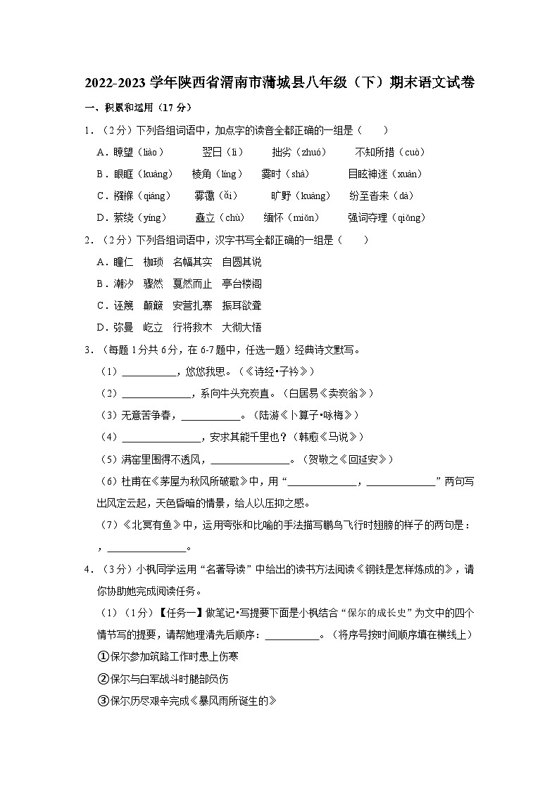 陕西省渭南市蒲城县2022-2023学年八年级下学期期末语文试卷01