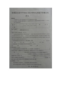 河南省商丘市柘城县实验中学2022-2023学年九年级下学期3月月考语文试题