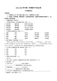 河南省濮阳市清丰县2022-2023学年七年级下学期期中语文试题