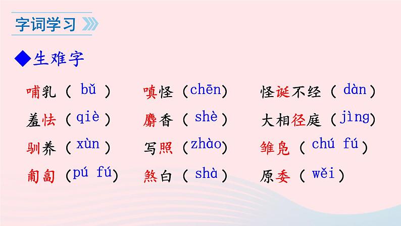 2023七年级语文上册第五单元17动物笑谈课件1新人教版08