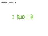 统编版九年级语文下册 2《梅岭三章》课件PPT