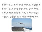 统编版九年级语文下册 4《海燕》课件PPT