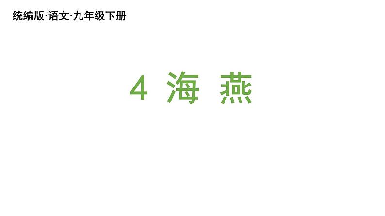 统编版九年级语文下册 4《海燕》课件PPT03