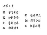 统编版九年级语文下册 4《海燕》课件PPT