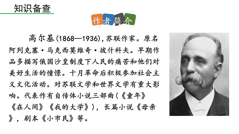 统编版九年级语文下册 4《海燕》课件PPT06