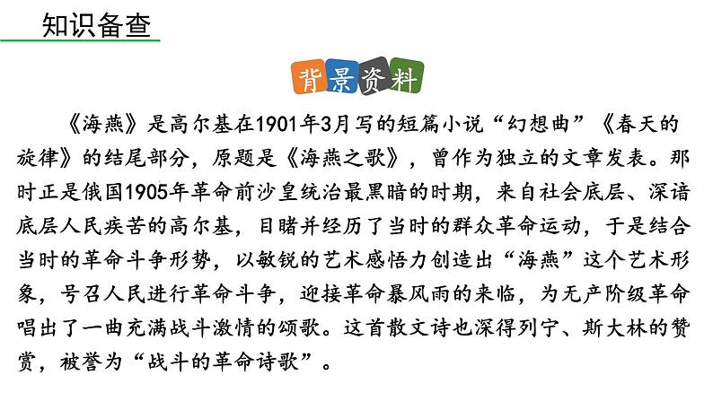 统编版九年级语文下册 4《海燕》课件PPT07