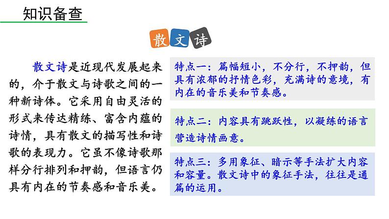 统编版九年级语文下册 4《海燕》课件PPT08
