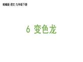 统编版九年级语文下册 6《变色龙》课件PPT