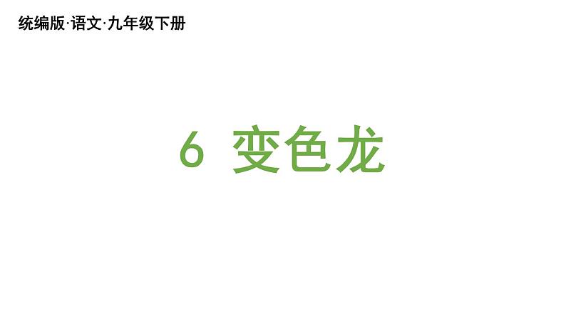 统编版九年级语文下册 6《变色龙》课件PPT03