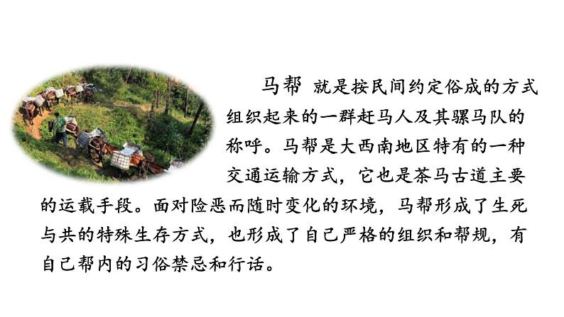 统编版九年级语文下册 7《溜索》课件PPT08
