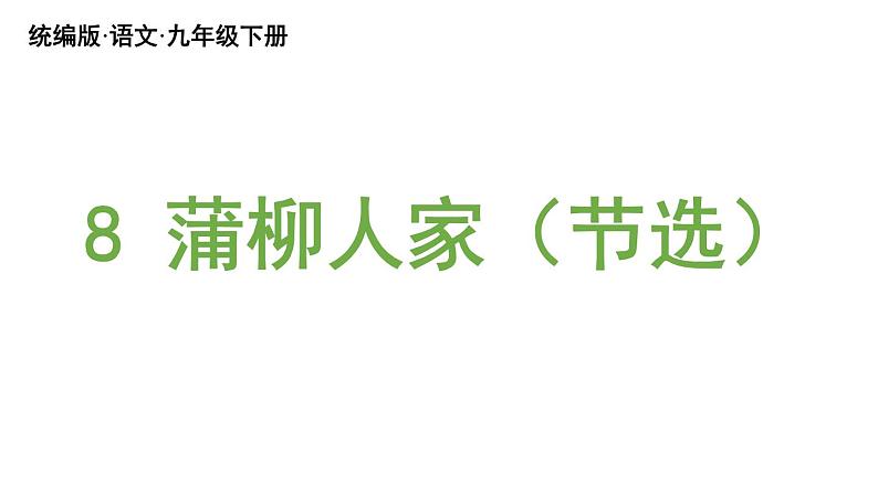 统编版九年级语文下册 8《蒲柳人家》课件PPT第2页