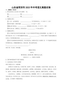 山东省菏泽市2023年中考语文真题试卷附真题答案