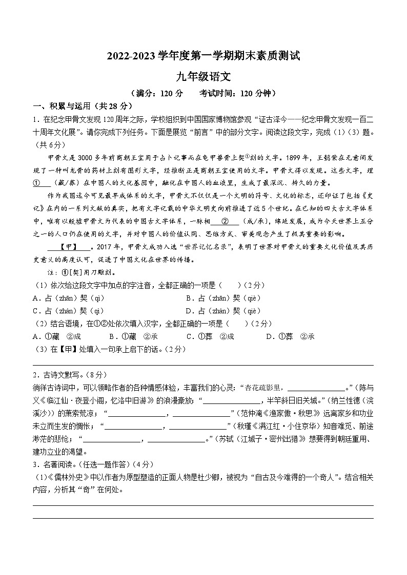 河南省驻马店市平舆县2022-2023学年九年级上学期期末语文试题01