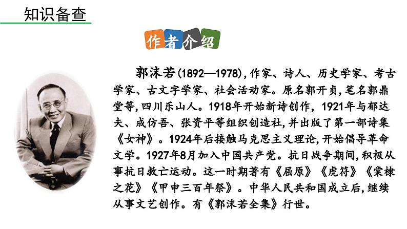 统编版九年级语文下册17《屈原（节选）》课件PPT07