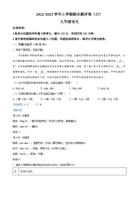 河南省周口市项城市2022-2023学年九年级上学期期末语文试题（解析版）