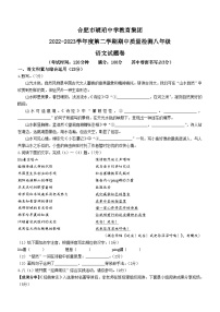 安徽省合肥市琥珀中学2022-2023学年八年级下学期期中语文试题