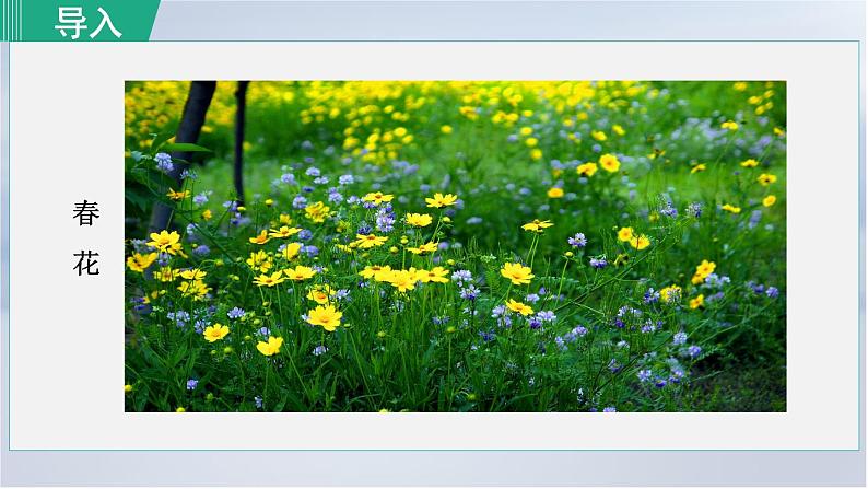 1. 春 第1课时课件PPT第2页