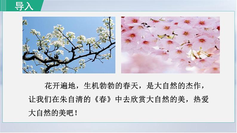 1. 春 第1课时课件PPT第4页