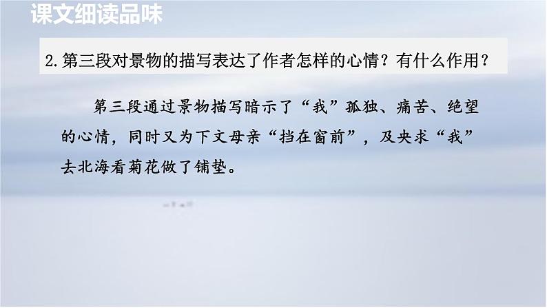 5. 秋天的怀念 第2课时课件PPT03