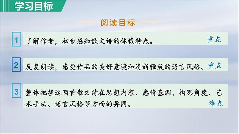 7. 荷叶·母亲课件PPT06