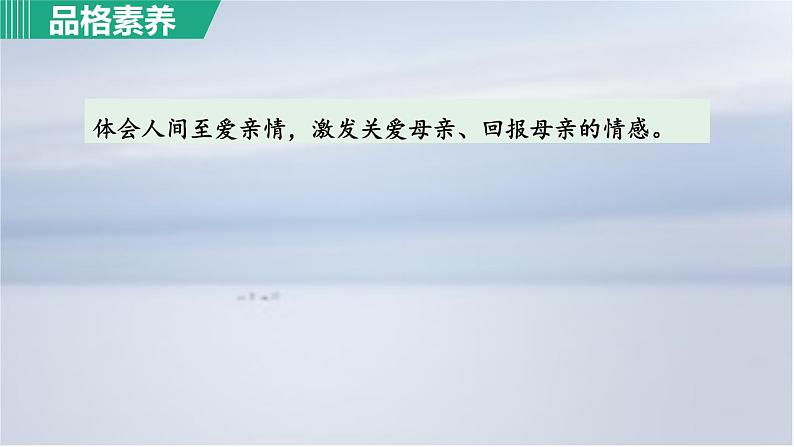 7. 荷叶·母亲课件PPT08
