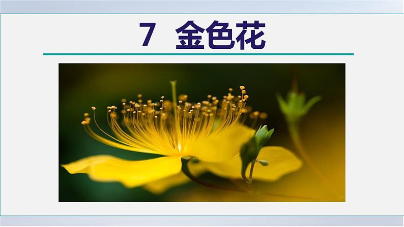 7. 金色花课件PPT第2页