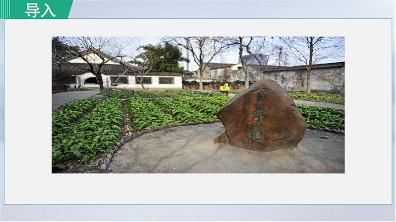 9. 从百草园到三味书屋 第1课时课件PPT第1页