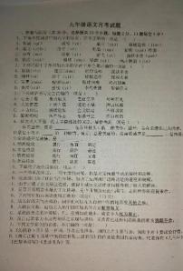 山东省聊城江北水城旅游度假区李海务街道办事处中学2023-2024学年九年级上学期10月月考语文试题