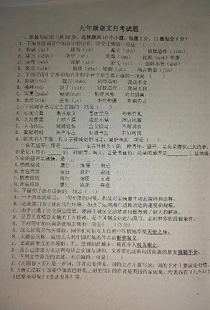 山东省聊城江北水城旅游度假区李海务街道办事处中学2023-2024学年九年级上学期10月月考语文试题第1页
