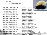 《乡愁》教学ppt