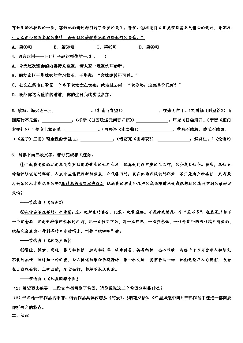2023届合肥市瑶海区重点达标名校中考联考语文试题含解析02