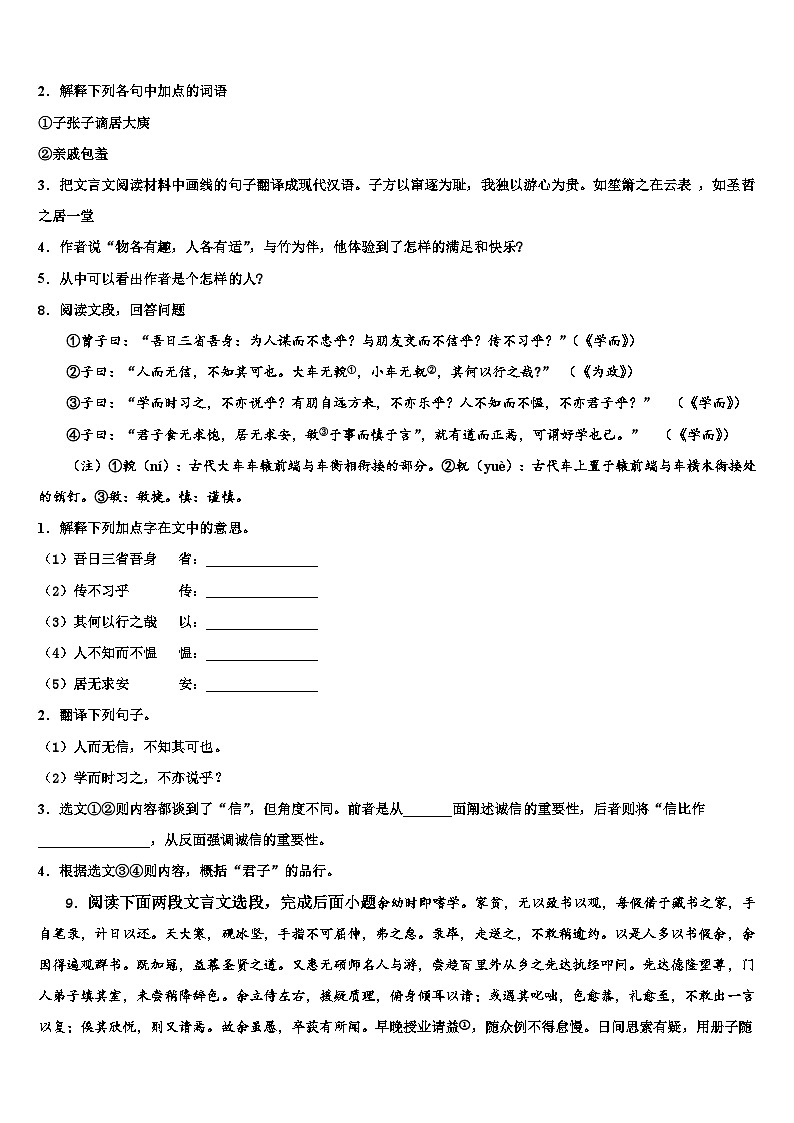 2023届河南省罗山县联考中考语文考试模拟冲刺卷含解析03