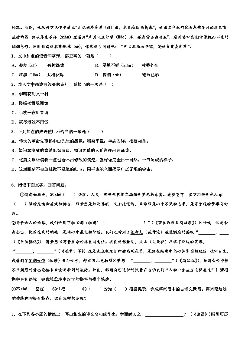 2023届河南省洛阳市李村一中学中考语文对点突破模拟试卷含解析02