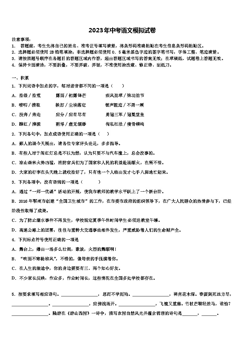 2023届黑龙江省哈尔滨市第113中学中考语文模拟精编试卷含解析01