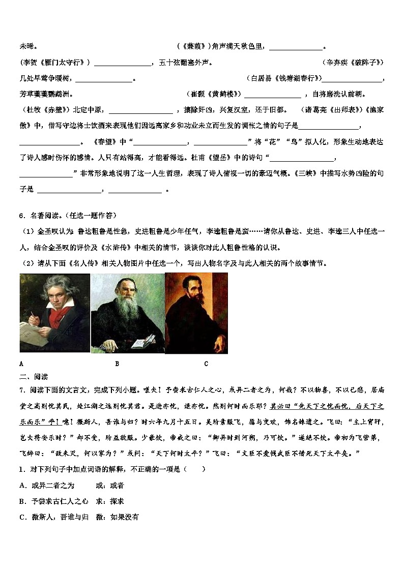 2023届黑龙江省鹤岗市绥滨县重点中学中考四模语文试题含解析02