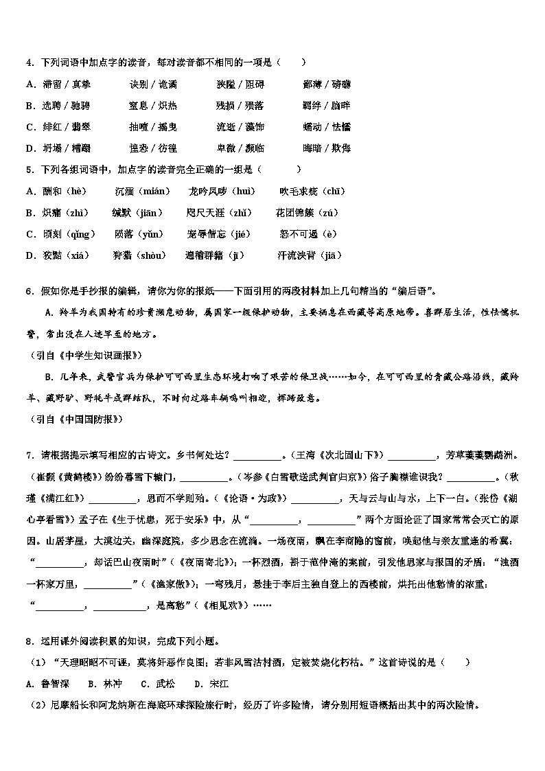 2023届湖北省随州市广水市西北协作区重点中学中考语文全真模拟试卷含解析02