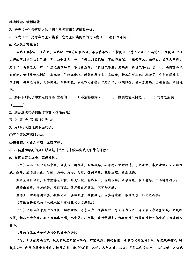 2023届湖北省武汉十三中学中考五模语文试题含解析03