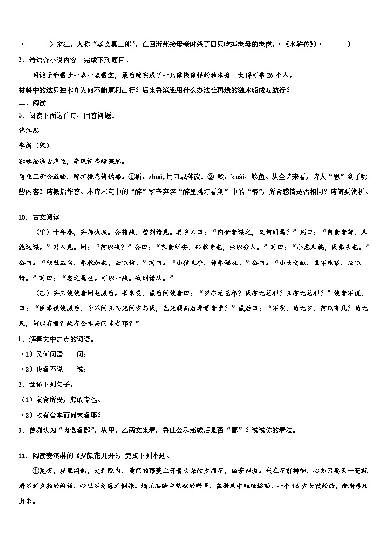 2023届湖北省孝感市应城市中考语文对点突破模拟试卷含解析03