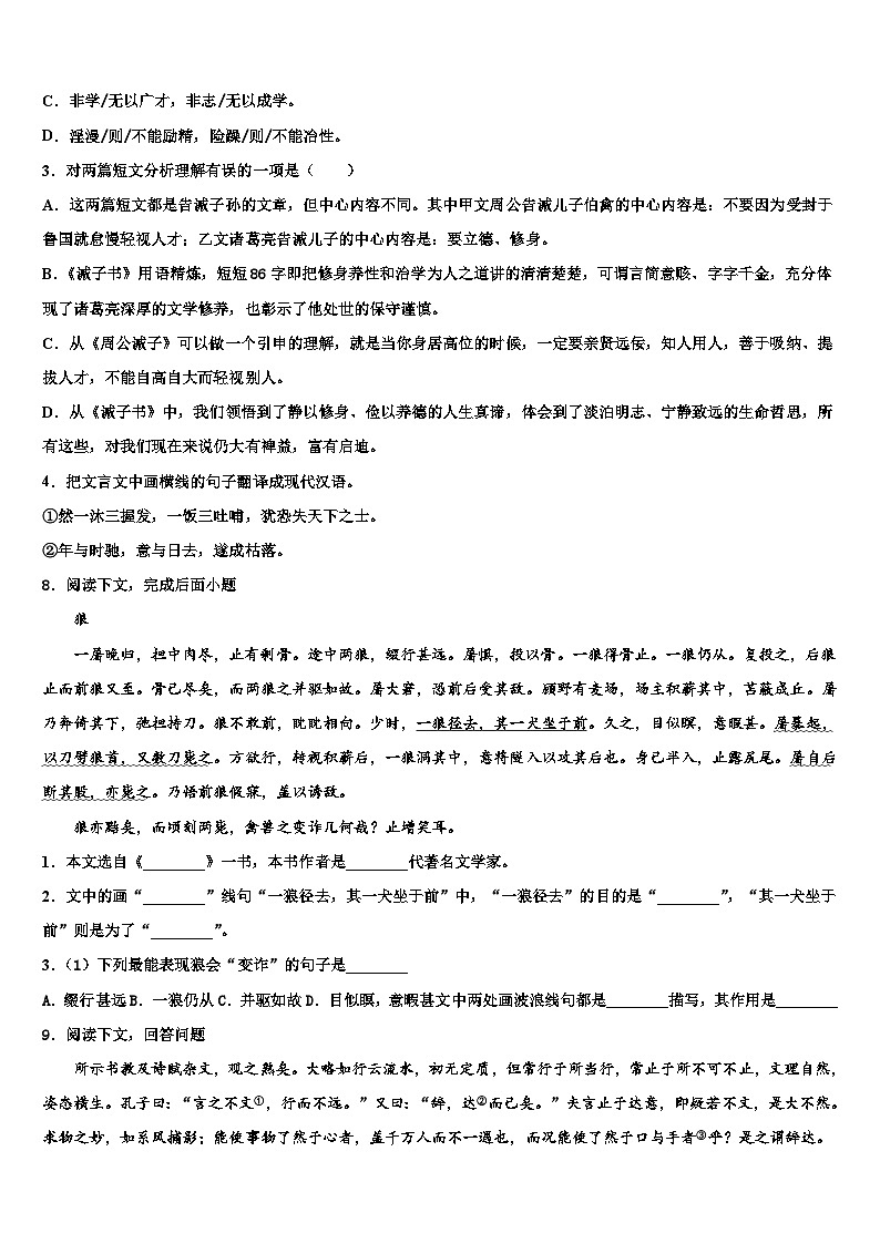 2023届湖南省澧县市级名校中考语文模拟试题含解析03