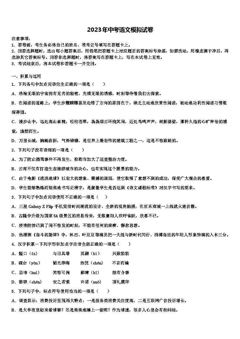 2023届湖北阳新一中重点达标名校初中语文毕业考试模拟冲刺卷含解析01