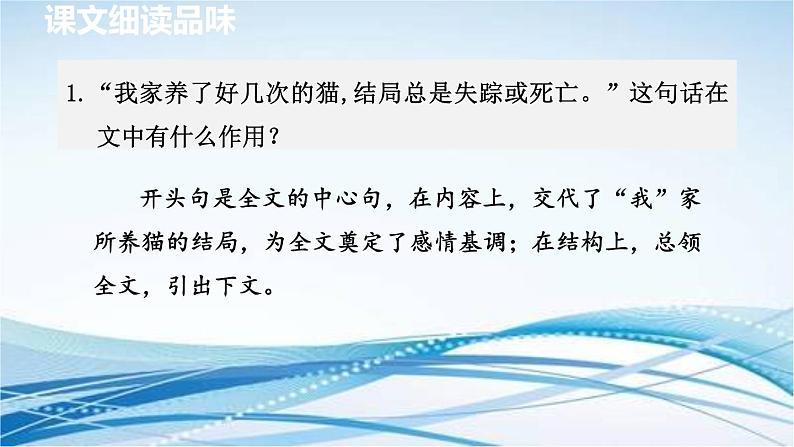 16. 猫 第2课时课件PPT第2页