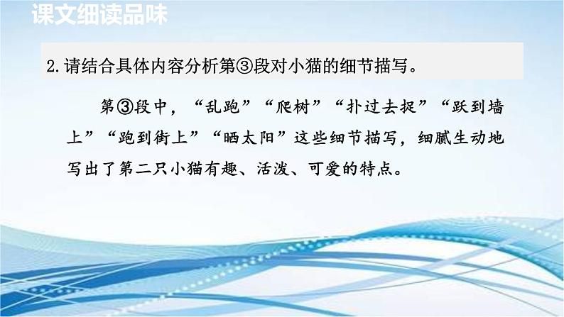 16. 猫 第2课时课件PPT第3页