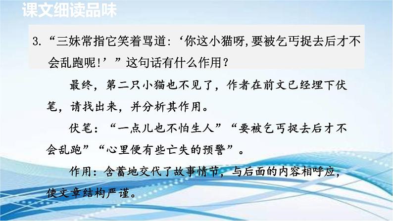 16. 猫 第2课时课件PPT第4页