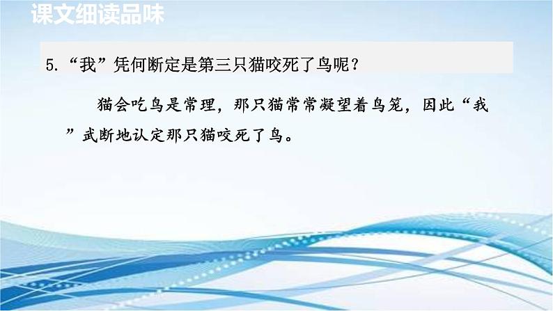 16. 猫 第2课时课件PPT第6页