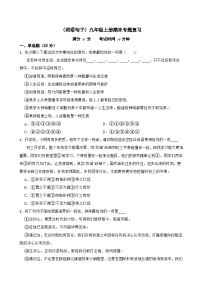 （词语句子）统编版九年级上册期末专题复习（原卷版+解析版）