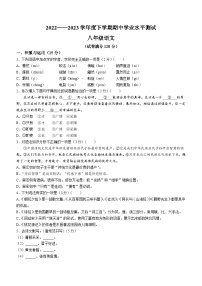 辽宁省沈阳市新民市2022-2023学年八年级下学期期中语文试题