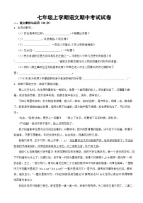 安徽省滁州市2023年七年级上学期语文期中考试试卷(附答案）