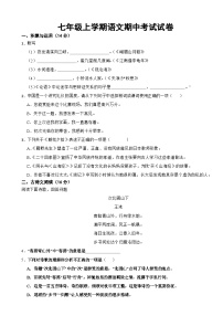 上海市黄浦区2023年七年级上学期语文期中考试试卷(附答案）